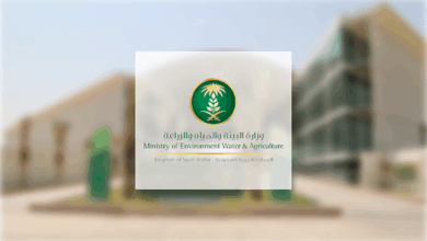 فرص استثمارية واعدة