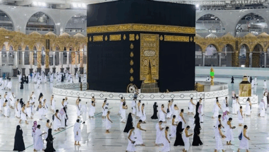 المطاف