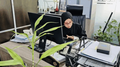 إرادة