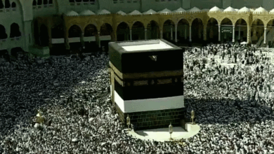 المطاف
