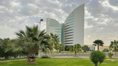 جامعة نجران