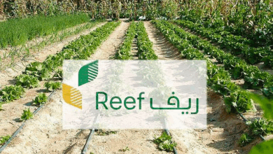 تدريب