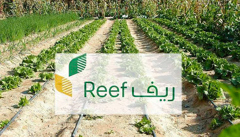 تدريب