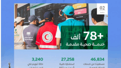 المنظومة
