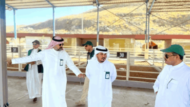 عسير