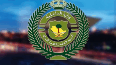 ضبط