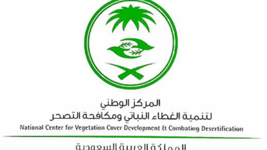 الشرقية