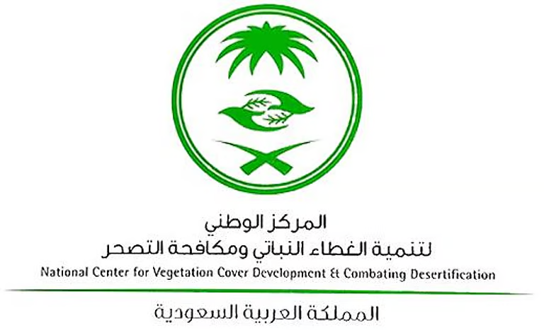 الشرقية