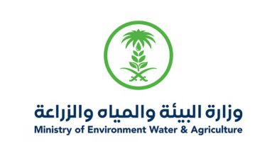 جازان