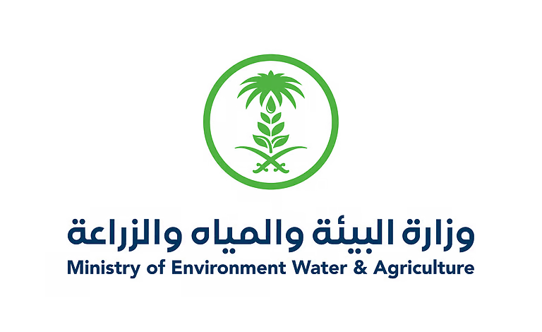 جازان