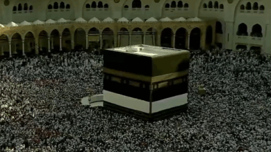 مشاهد