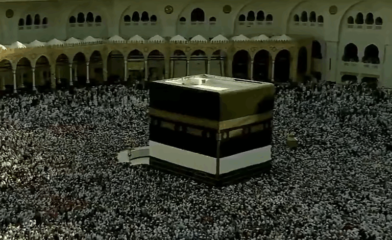 مشاهد