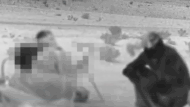 الموساد