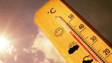 طقس شديد الحرارة