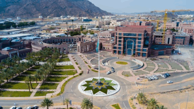 جامعة طيبة