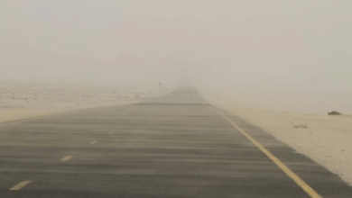 الرياح