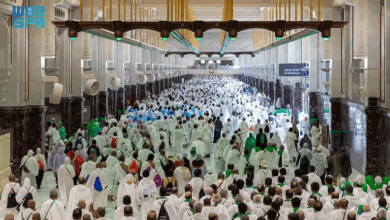 الهيئة العامة