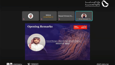 السعودية
