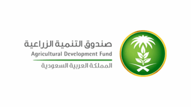 صندوق