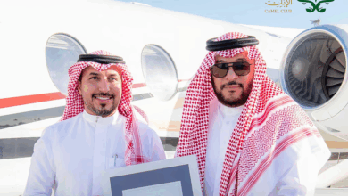 منقية الجزيرة