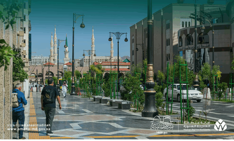 كادرًا