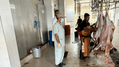 استعدادات