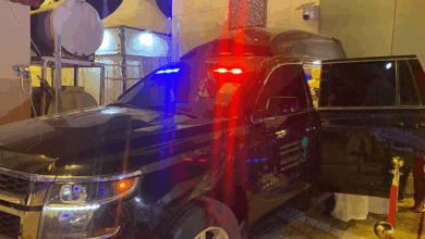 النيابة